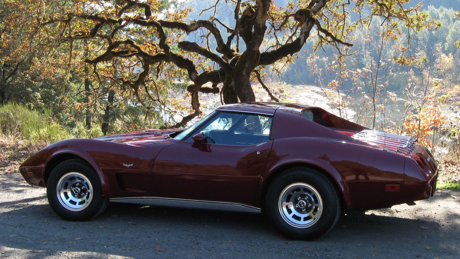 corvette16